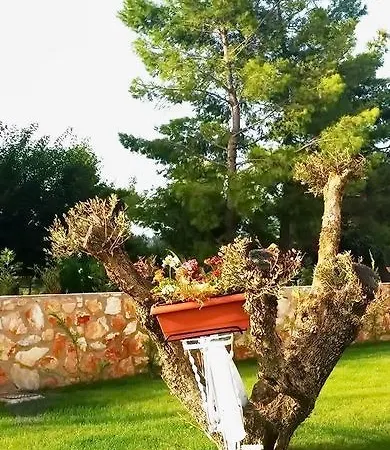 Agro Art Boutique And Luxury Villa