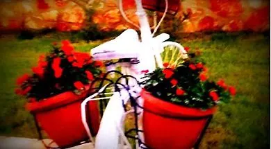 Agro Art Boutique And Luxury *