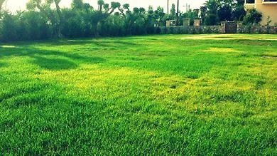 Agro Art Boutique And Luxury Villa